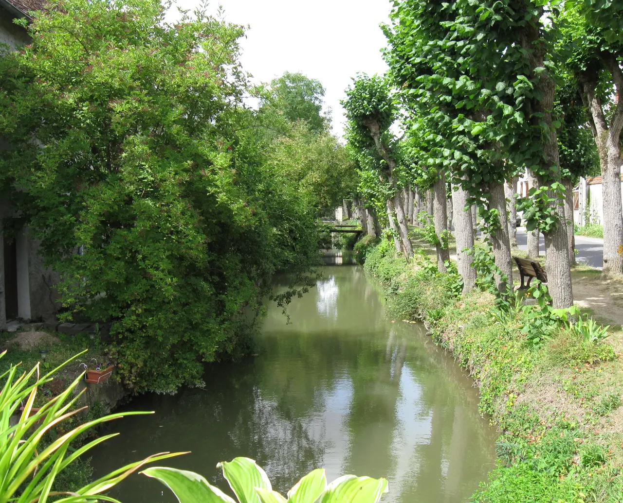Beaumont du Gâtinais le Fusain