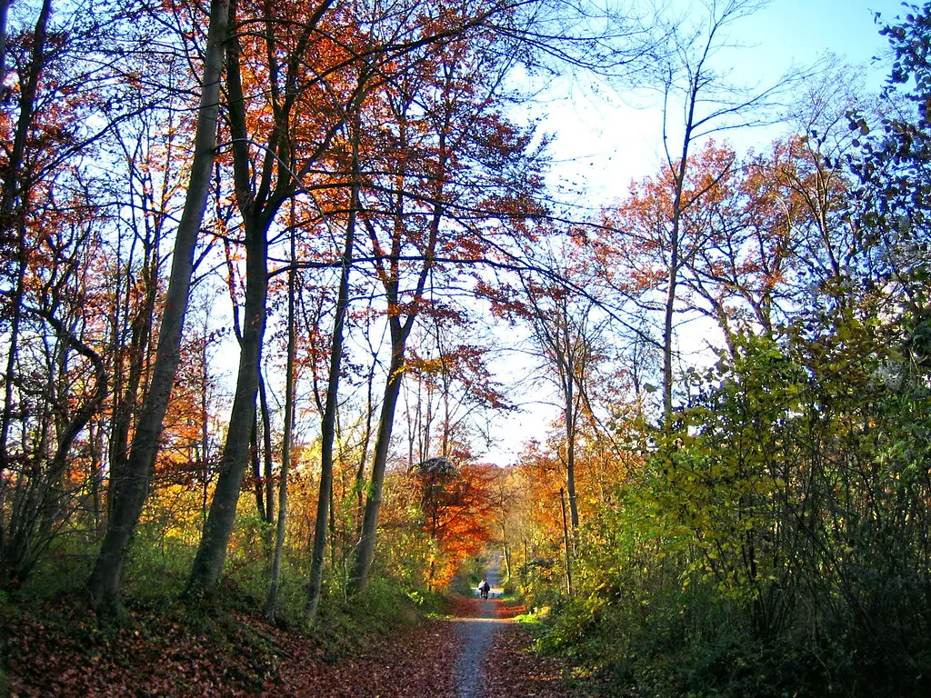 Carrières sous Bois