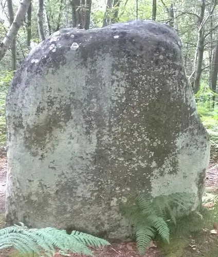 Champcueil Menhir des Buttes noires
