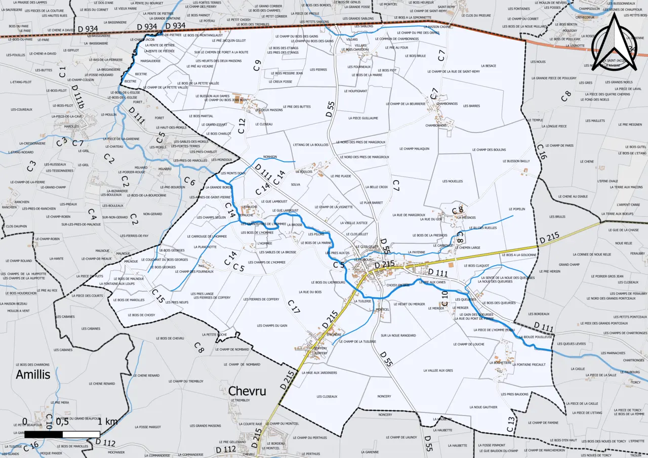 77116-Choisy-en-Brie-Cadastre