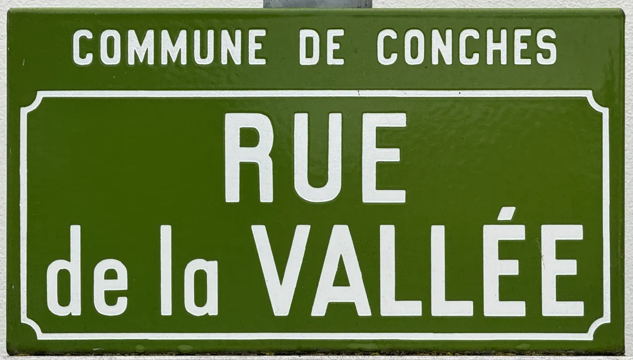 Plaque Rue Vallée - Conches-sur-Gondoire (FR77) - 2025-07-16 - 1