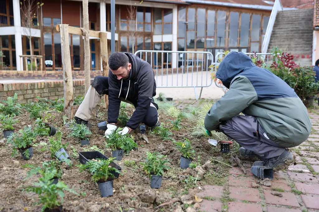 Projet de la cour végétalisée avec les brigades vertes au collège le Bois d’Aulne à Conflans-Sainte-Honorine