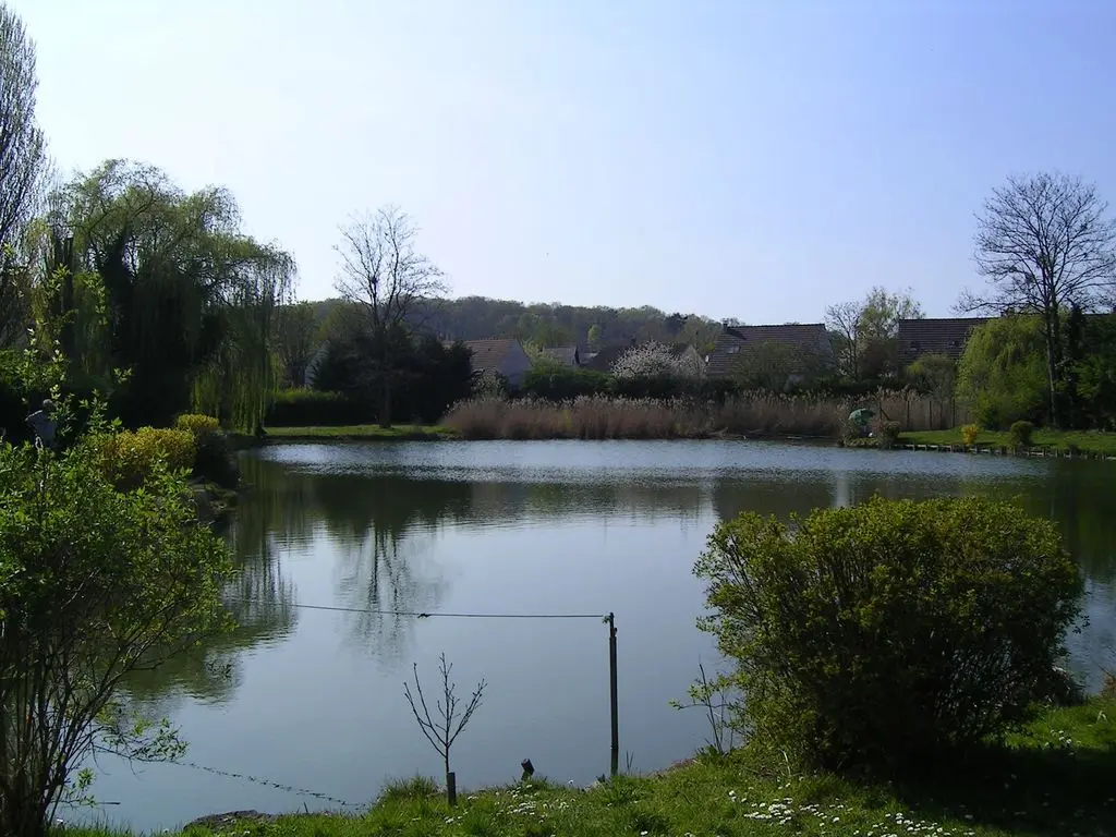 Coubron Etang du Moulin