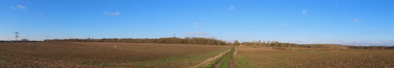 Forêt de Maubuisson pano @ Chemin de Frépillon