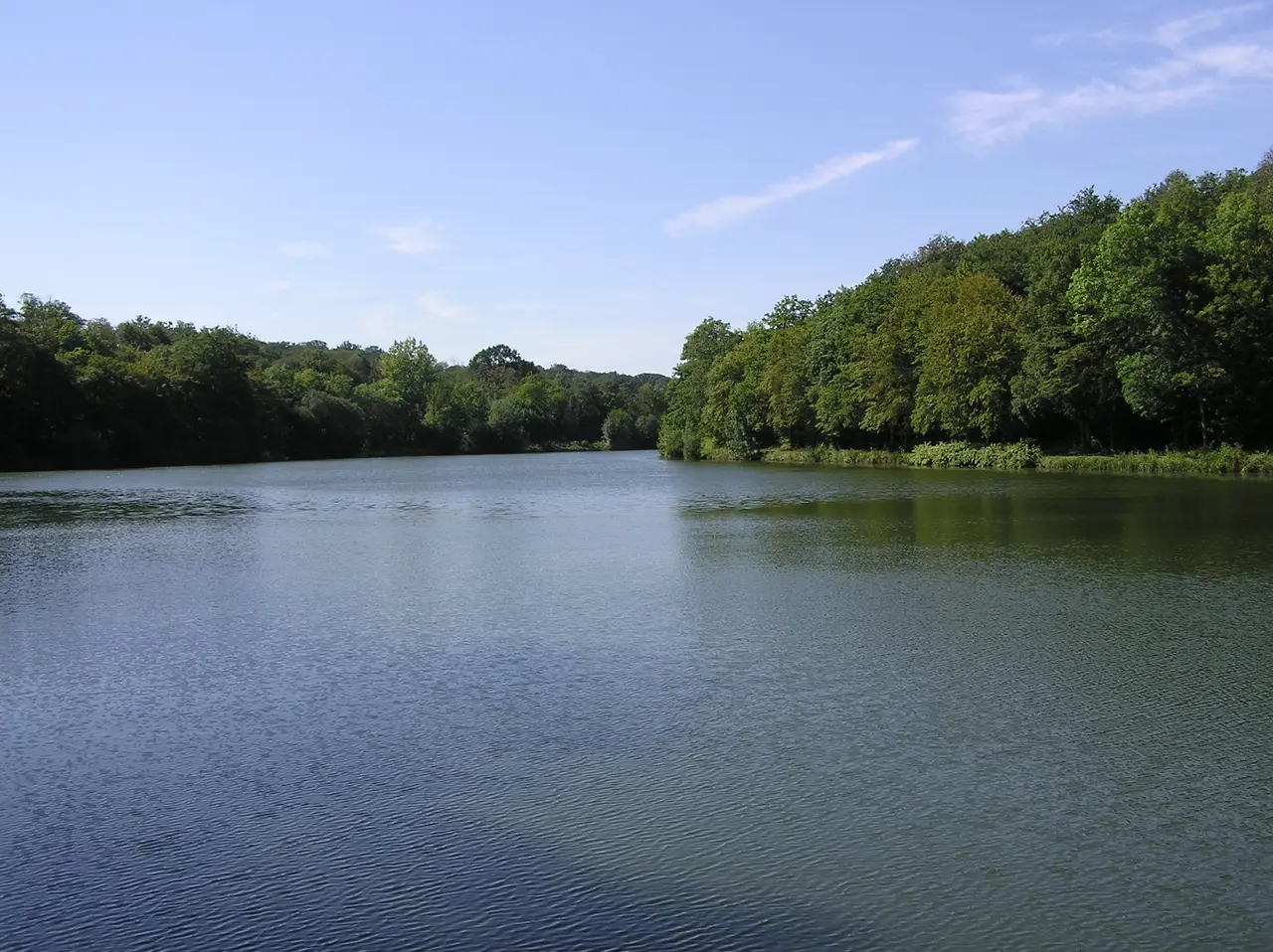Les étangs de La Minière à Guyancourt
