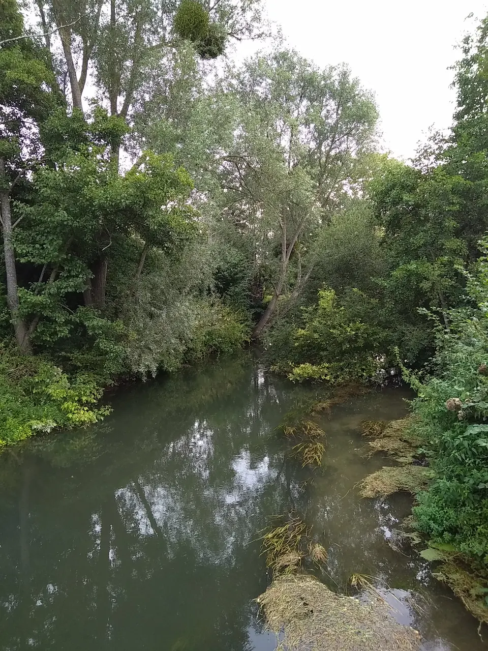 L'Epte, à Limetz-Villez (78)