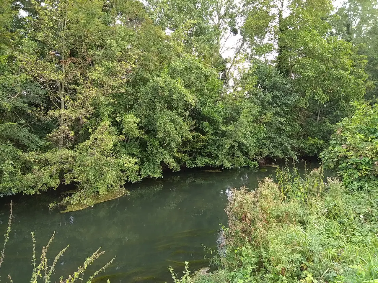 L'Epte à Limetz-Villez (78)
