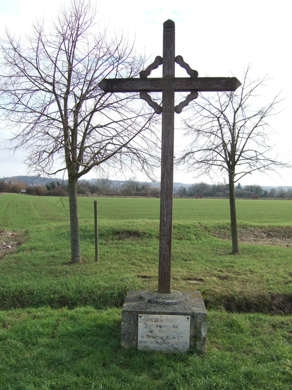 Croix de la bataille Longpont-sur-Orge 2010 YF8044