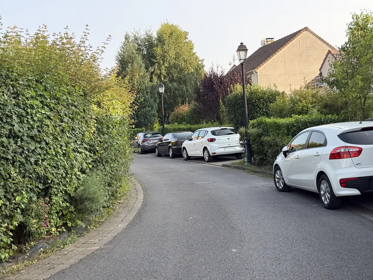 Rue Tourne Oreille - Magny-le-Hongre (FR77) - 2025-08-09 - 1