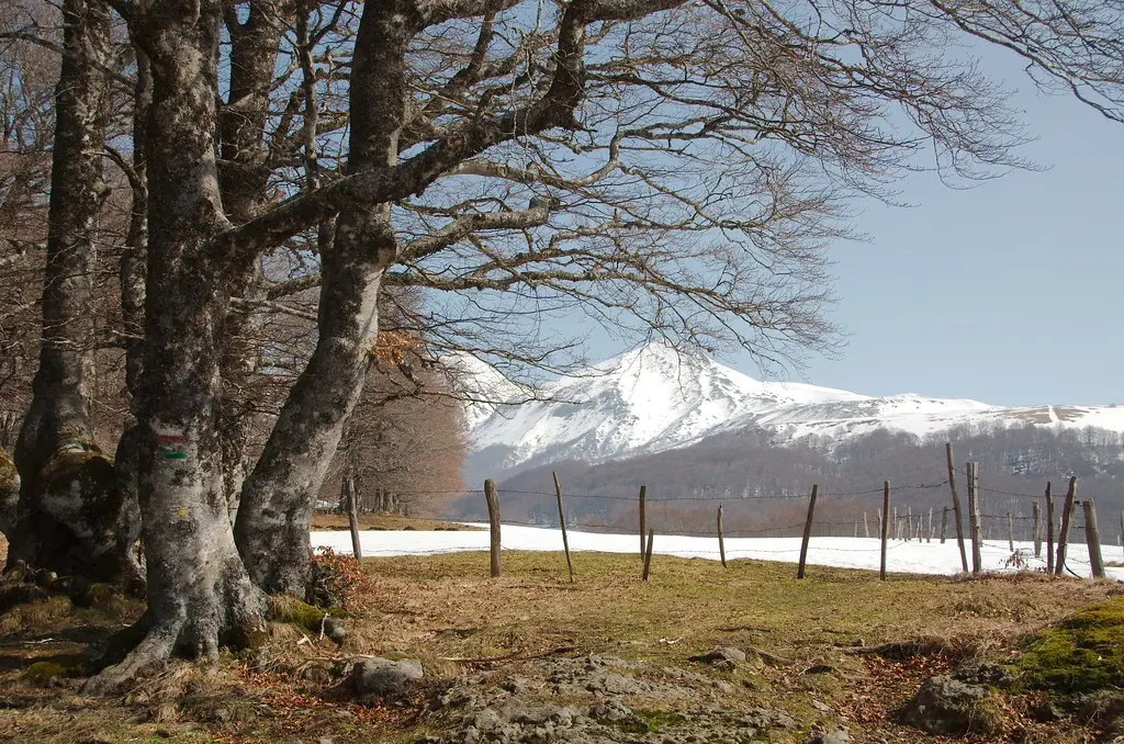 Auvergne - Morangie