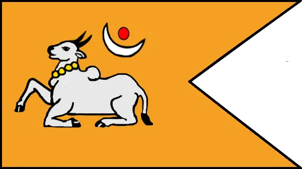Nandi flag