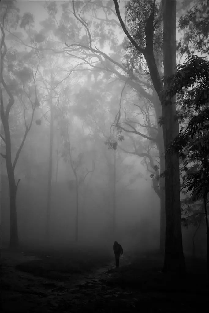 Stranger in the woods, Nandi Hills