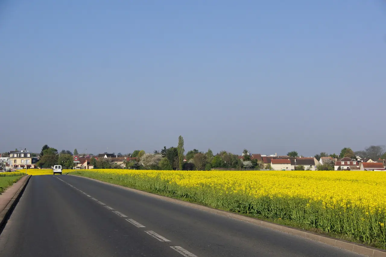 Noiseau vu depuis la Queue-en-Brie
