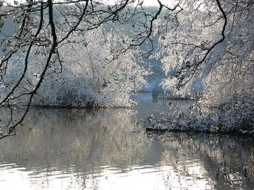 Small Lake in Winter - Orgeval - Yvelines
