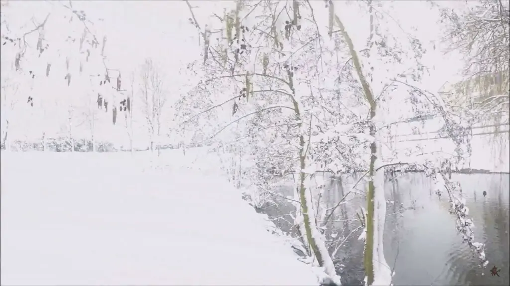 ️eXploration 17 🌟Lake {Berchères} [Snow] (Pontault Combault) 🌌Nature