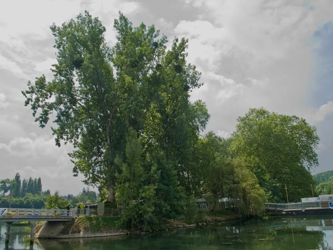 Ile du Berceau Samois-sur-Seine