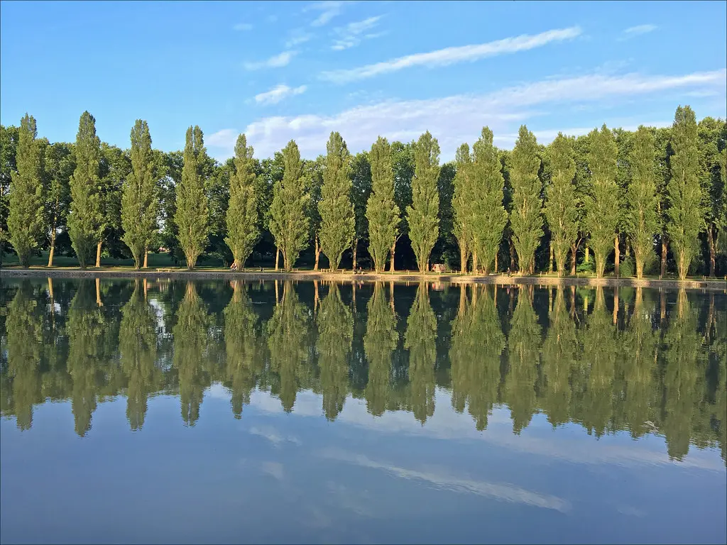 Le grand canal (Domaine de Sceaux)