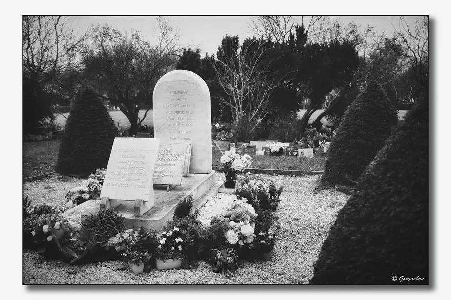 Cimetière de Thiais, Stèles hommages aux donateurs de leur corps à la médecine
