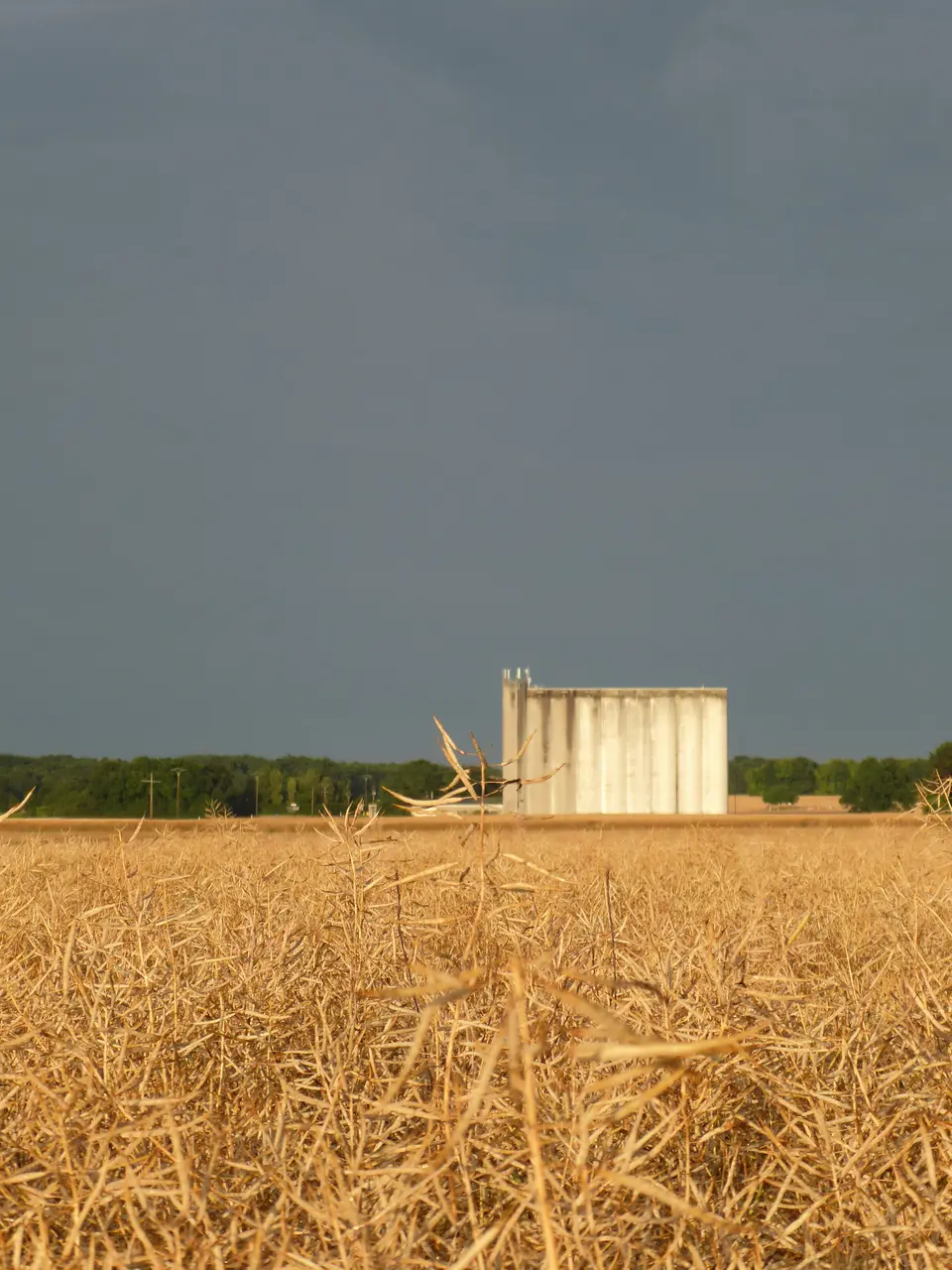 Silo de Villemaréchal
