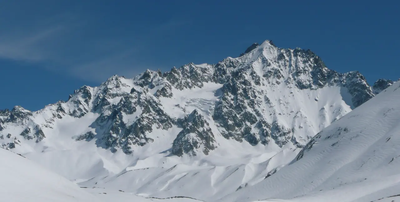 Les agneaux 003