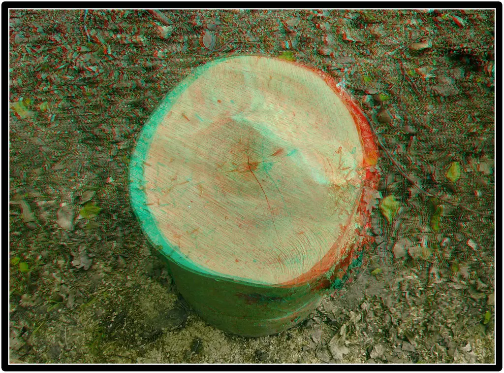 3d red-blue anaglyph stump, Arques-la-Bataille, Seine-Maritime, Normandie, France