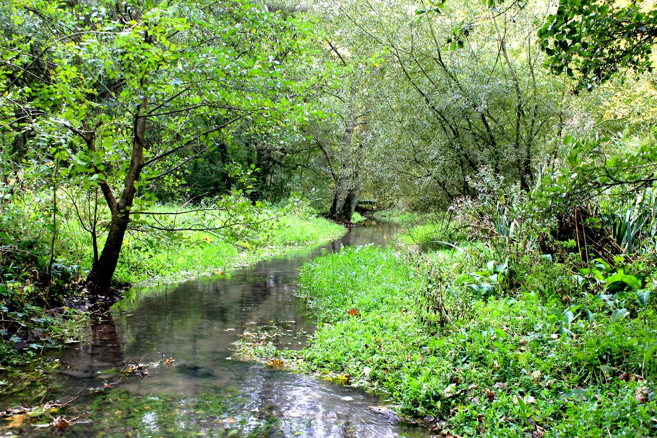 Biéville-Beuville le Dan