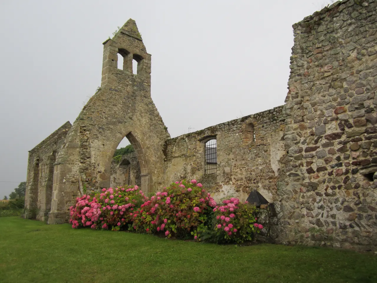 Ruine de l'église de Saint-Martin-le-Vieux (Bréhal) 06