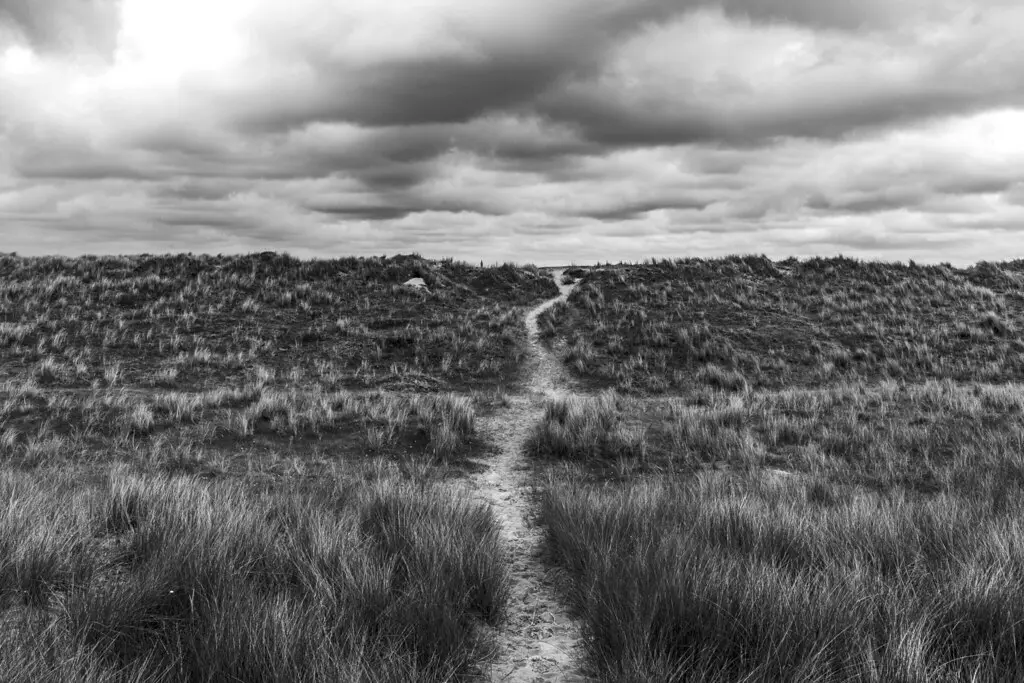 Un chemin dans les dunes de Bricqueville sur mer, Havre de la Vanlée