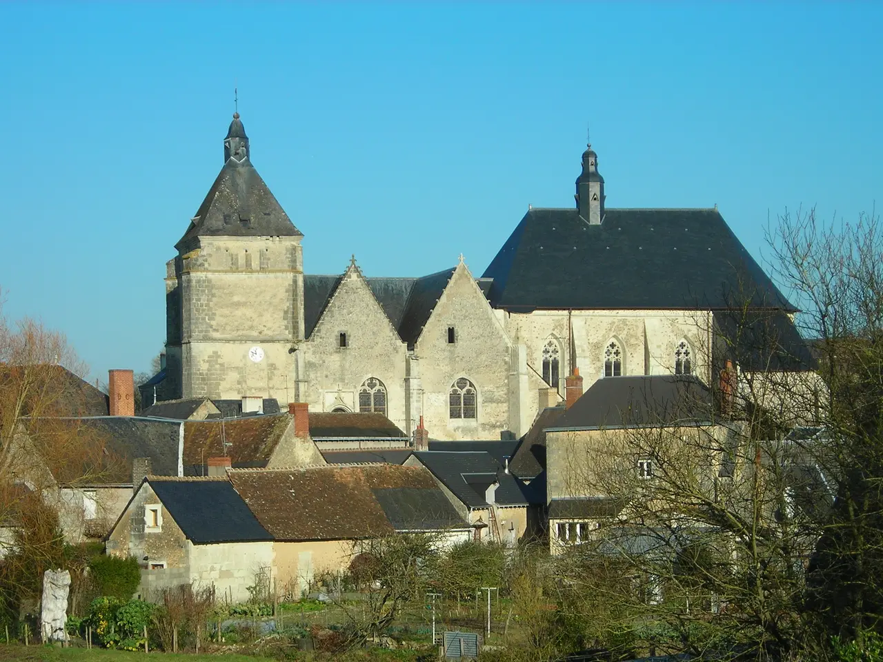 Eglise Saint-Pierre et Collegiale Saint-Michel de Bueil-en-Touraine (37) 7298