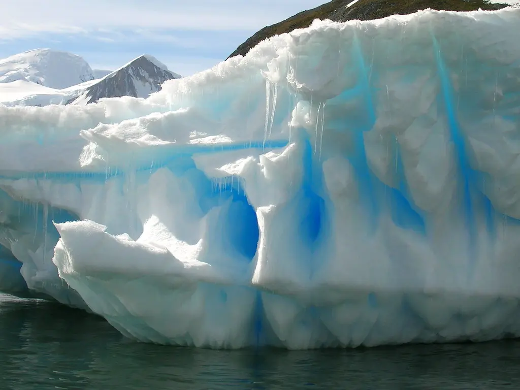ANT2005 - Boat Trip To Cuverville Island (AKA Iceberg Fiesta)