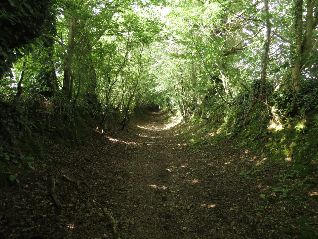 La Meauffe - Chemin creux 2