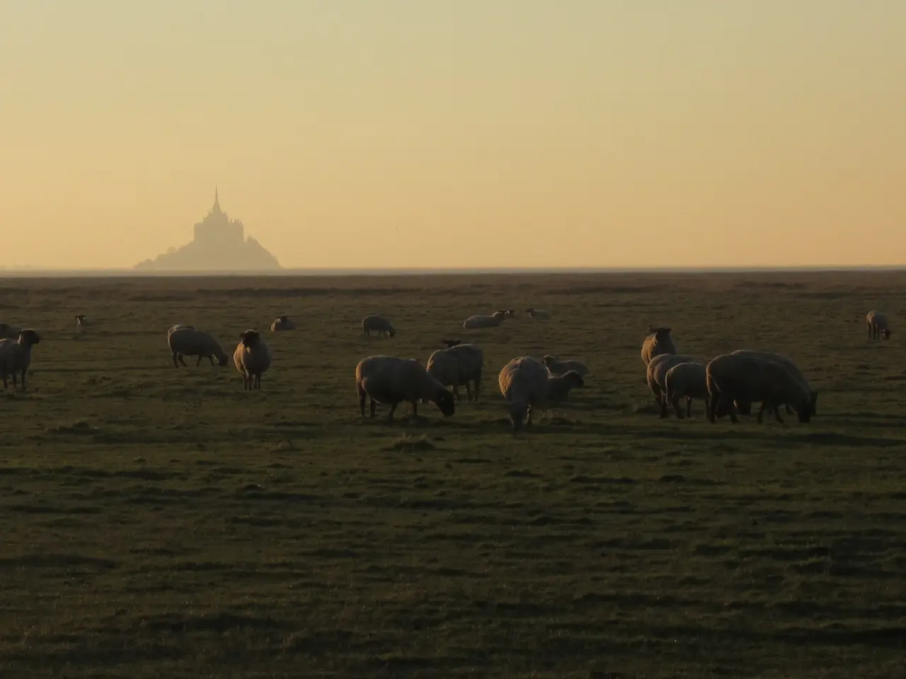 Le Val-Saint-Père - Vue sur la baie du Mont-Saint-Michel depuis le Gué de l'Épine (2)