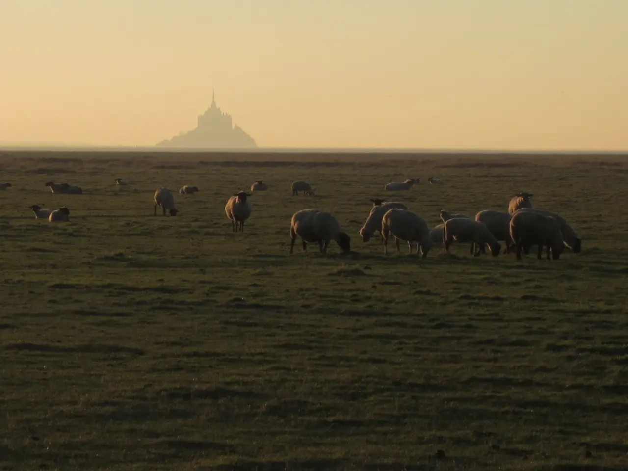 Le Val-Saint-Père - Vue sur la baie du Mont-Saint-Michel depuis le Gué de l'Épine