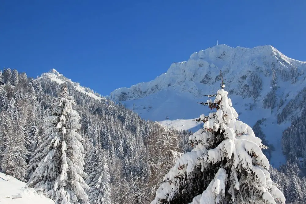 Blanches montagnes, Les Rochers-de-Naye, Montreux, Switzerland