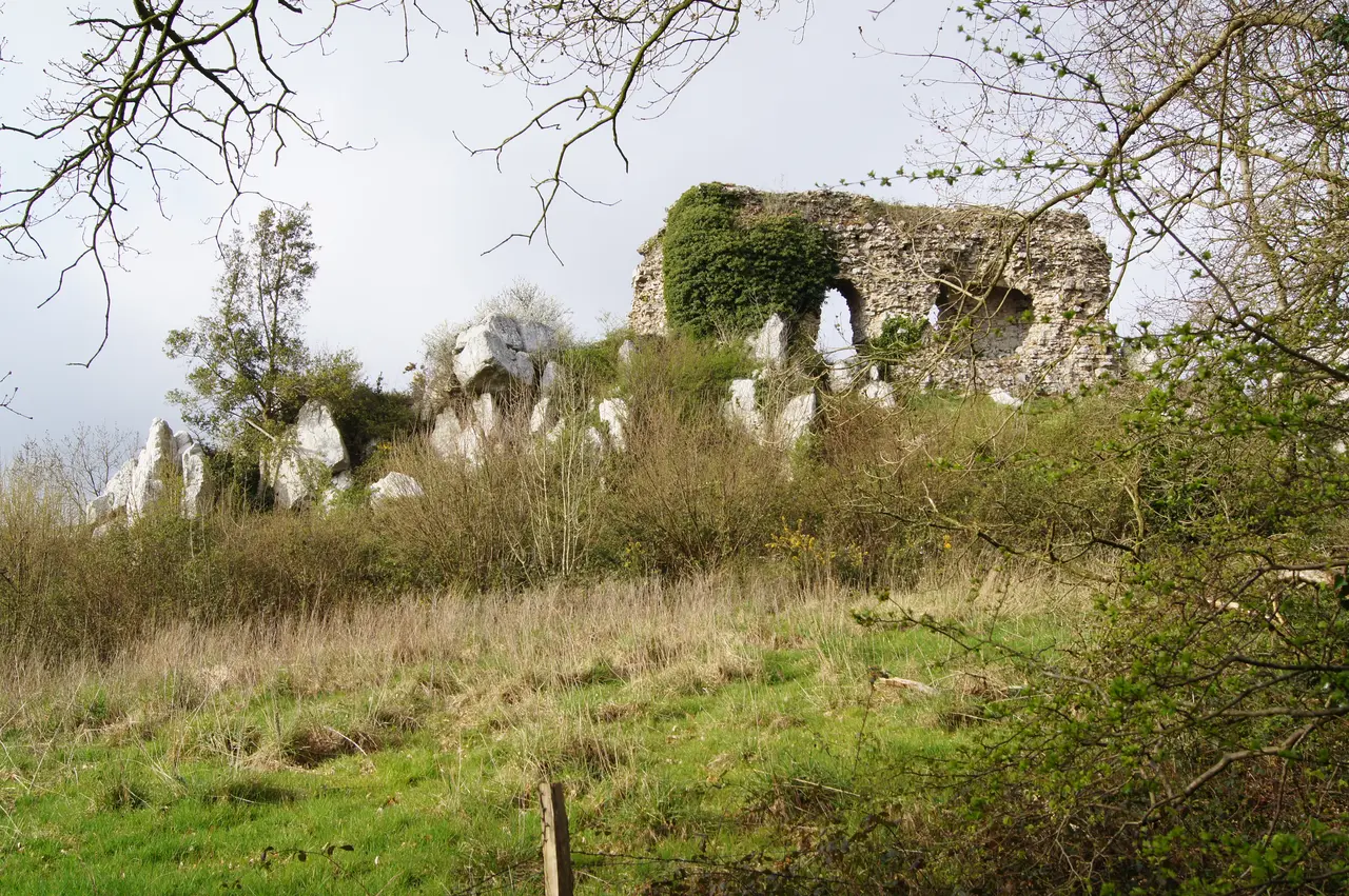 Le château ou vigie de Lithaire face sud ERNOUF Guillaume (2)