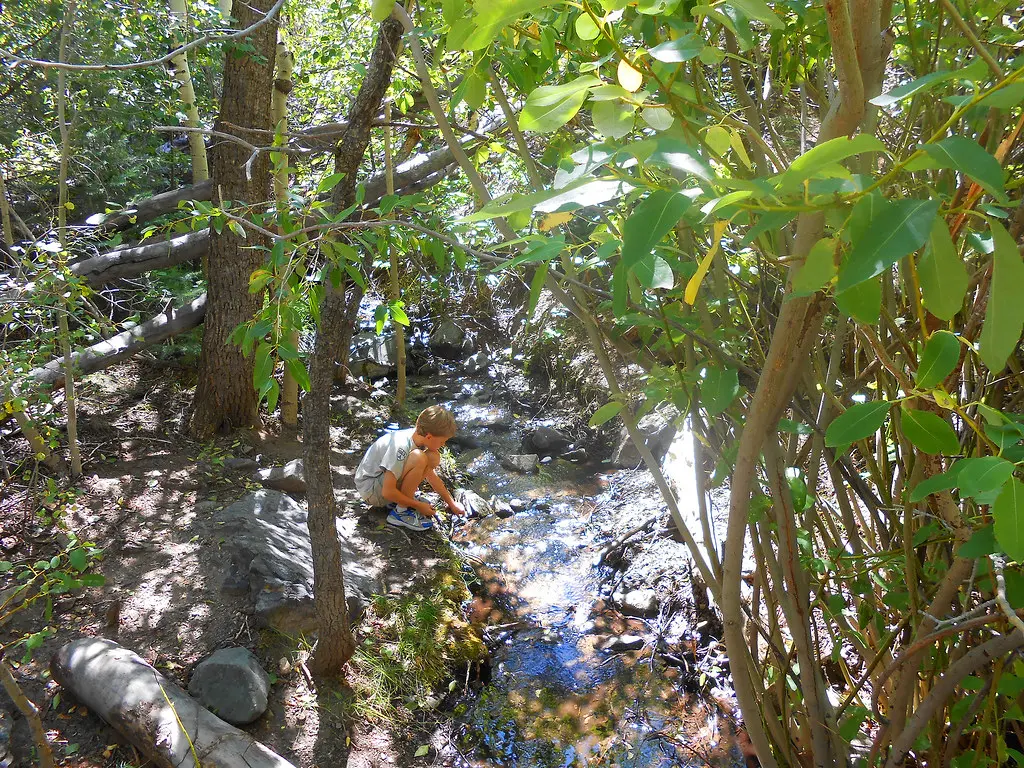 Boy Next To Mosca Creek, Montville Trail, Great Sand Dunes National Park
