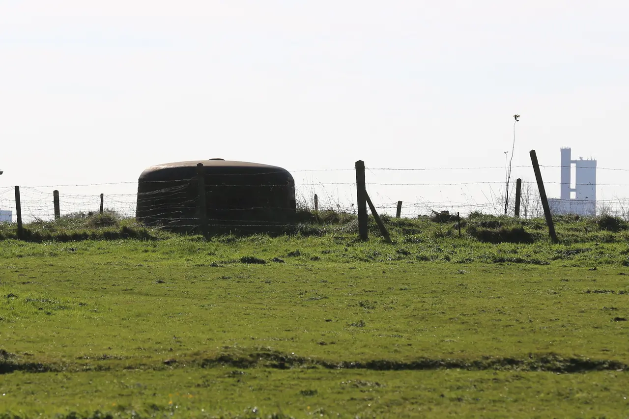 Octeville-sur-Mer - Abri Dondeneville 02