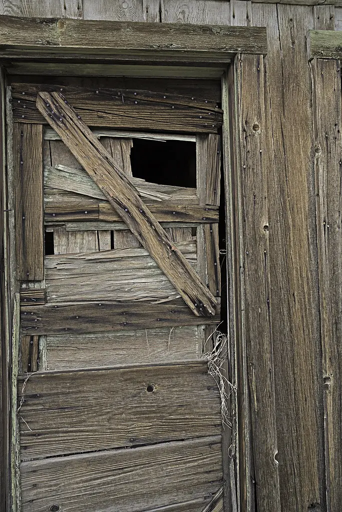 02468121-63-Wall of Rot and Splinters-2