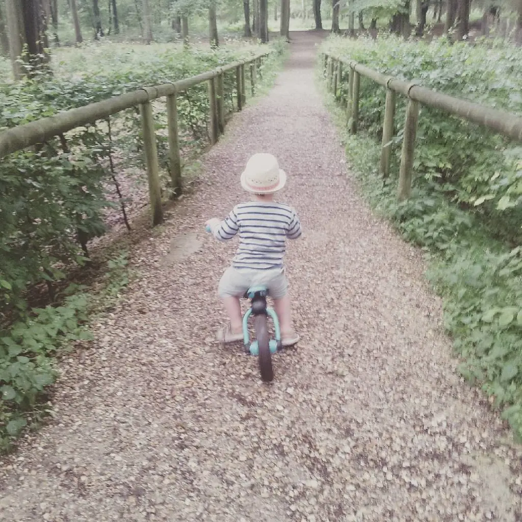 Forêt de Roumare...