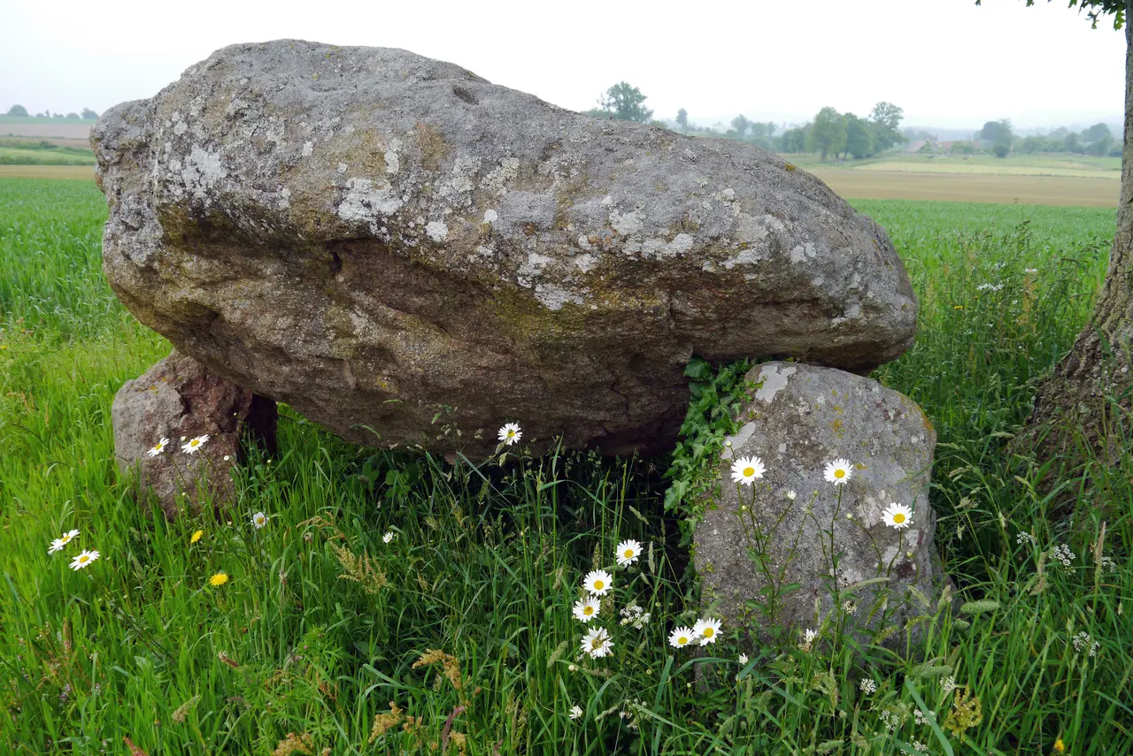 File:Dolmen du Creux, Saint-Bômer-les-Forges, France - 04.jpg