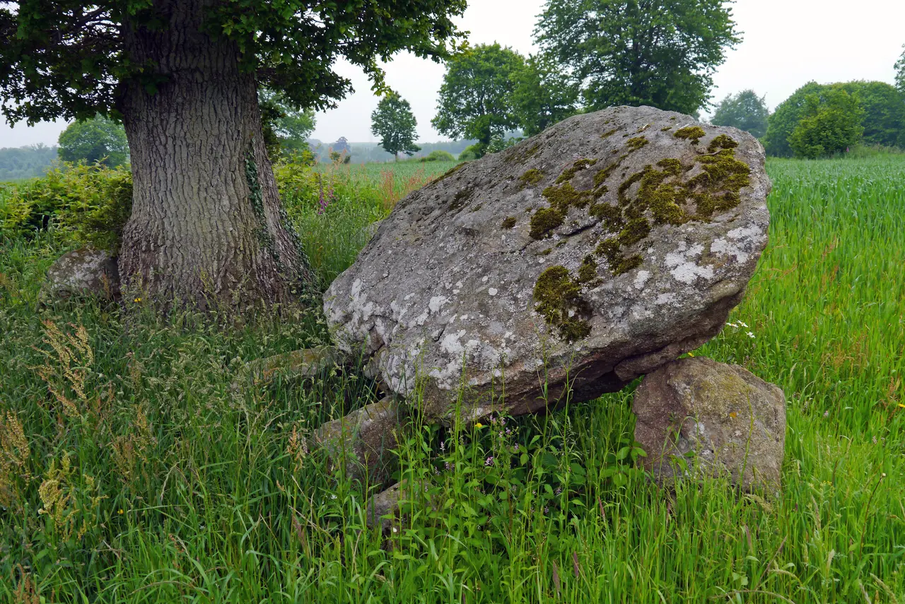 File:Dolmen du Creux, Saint-Bômer-les-Forges, France - 06.jpg