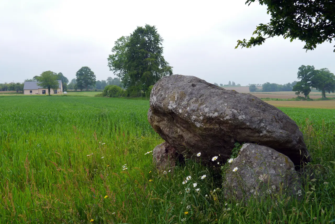 File:Dolmen du Creux, Saint-Bômer-les-Forges, France - 05.jpg