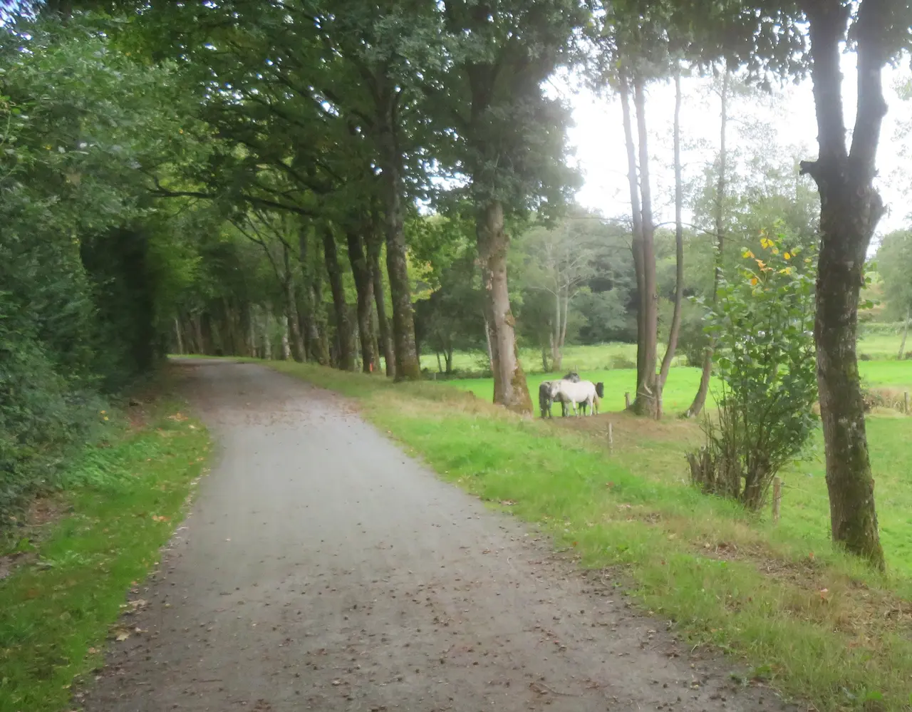 Voie verte du bocage au sud de Saint-Bômer-les-Forges