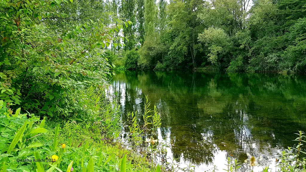 Lac de Bédanne, Tourville-la-Rivière, Normandie, FRANCE