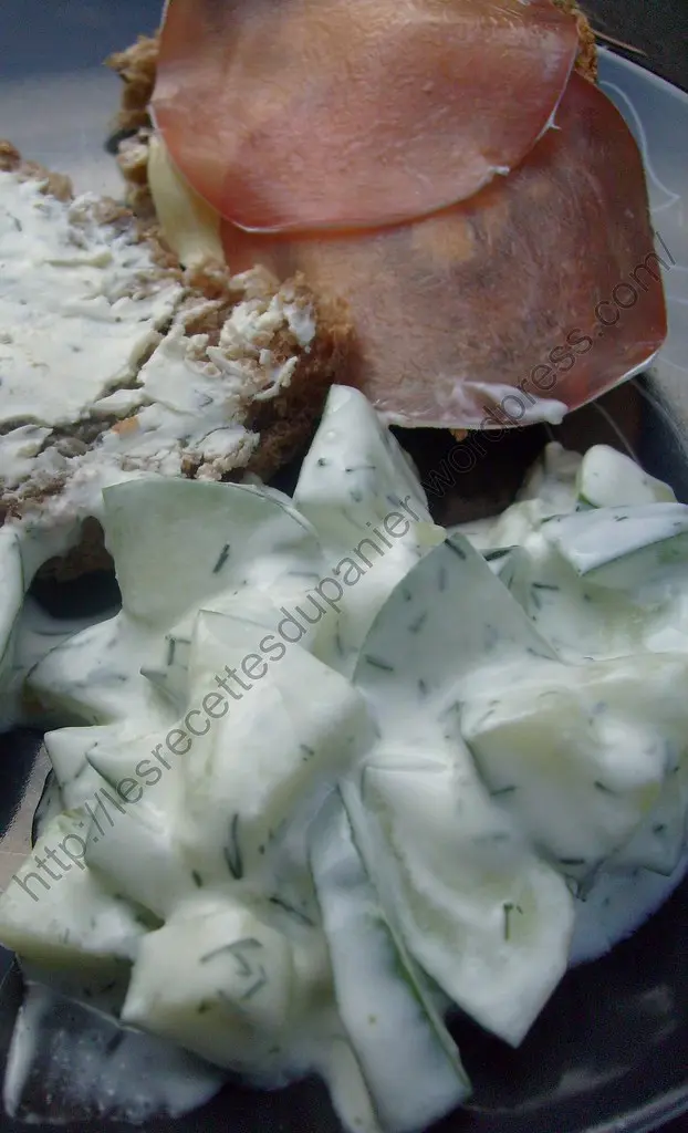 Salade de concombre à la crème aigre / Cucumber with sour cream salad / Mizeria