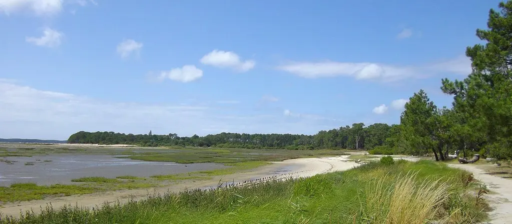 Anse de St Brice, entre Andernos et Arès, Bassin d'Arcachon, Gironde, Aquitaine.