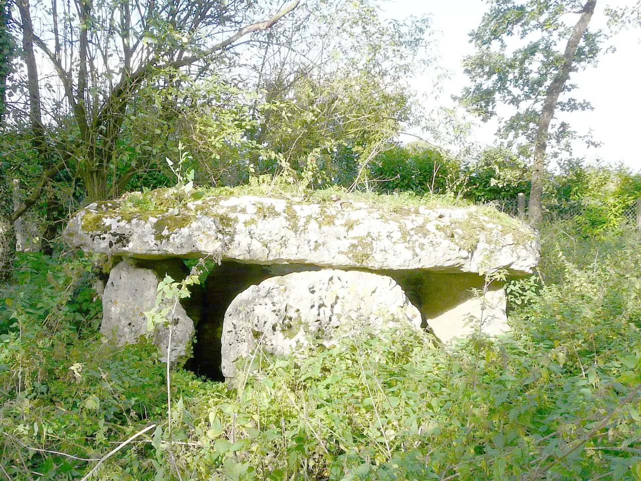 Dolmen-de-Laverré-Aslonnes-86