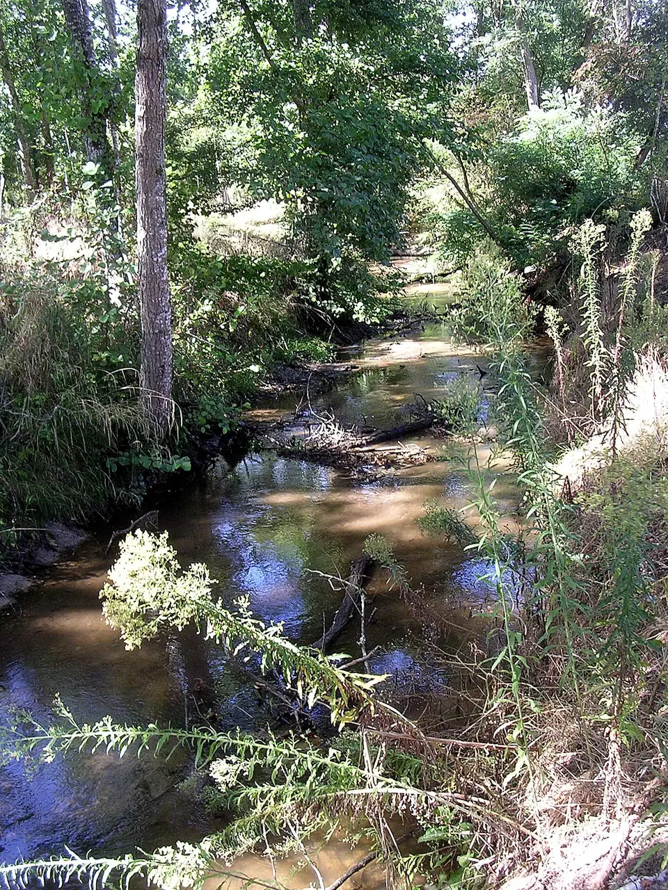 Ruisseau st jean Benquet 1