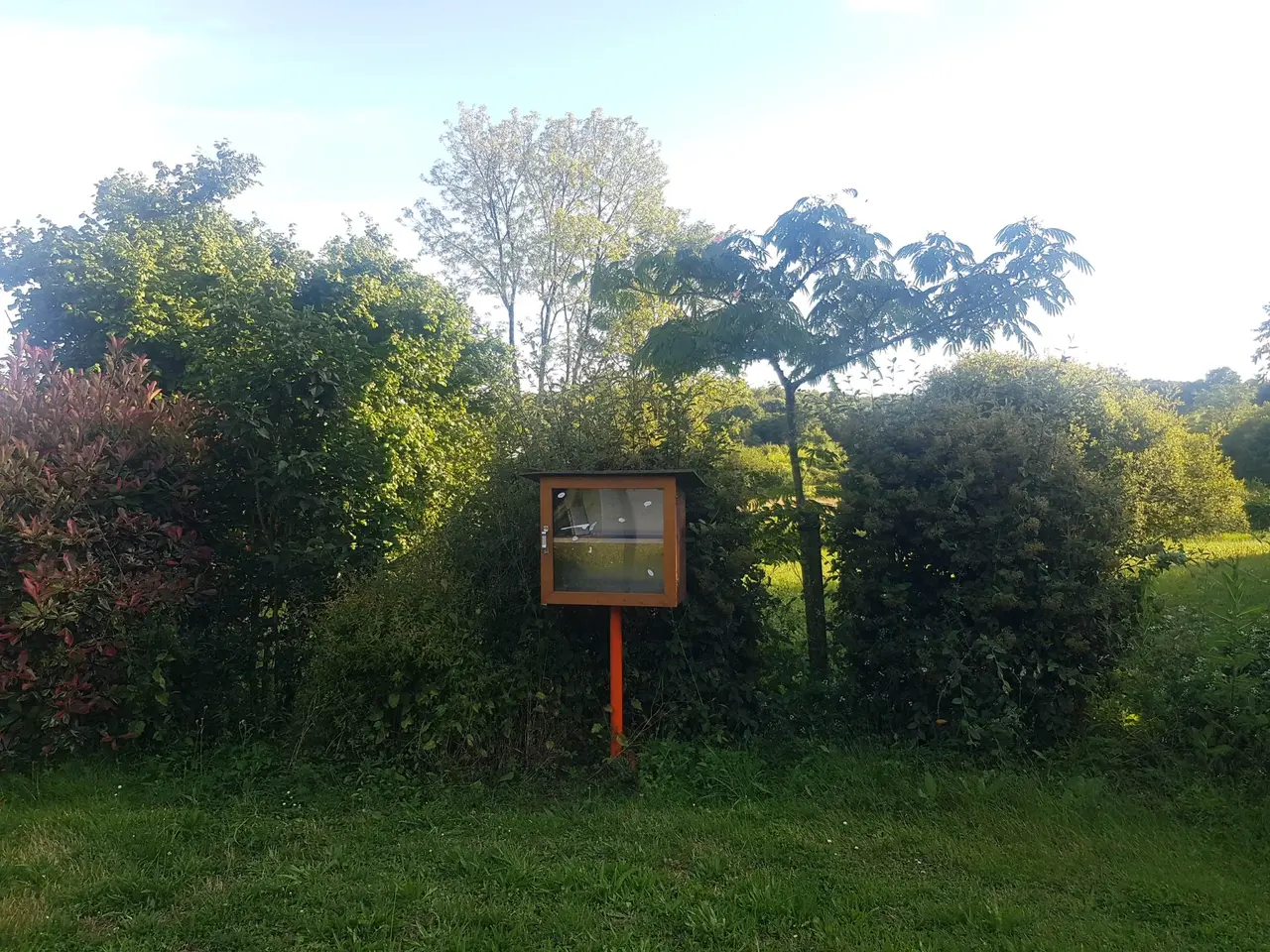 Boivre-la-Vallée - Rue de la Boivre - boîte à livres