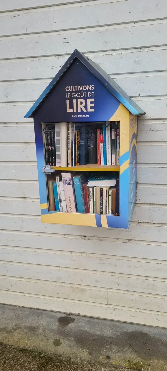Bretagne-de-Marsan - avenue du Bourg - boîte à livres